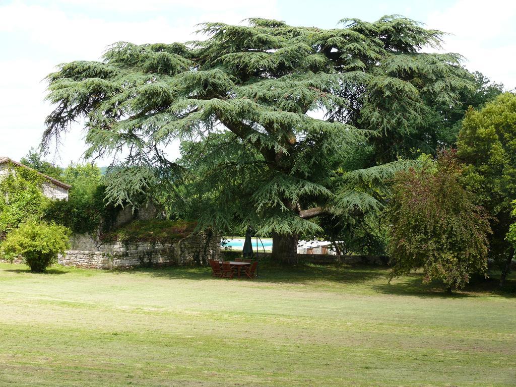 Domaine De Lamassas Bed and Breakfast Hautefage-la-Tour Buitenkant foto