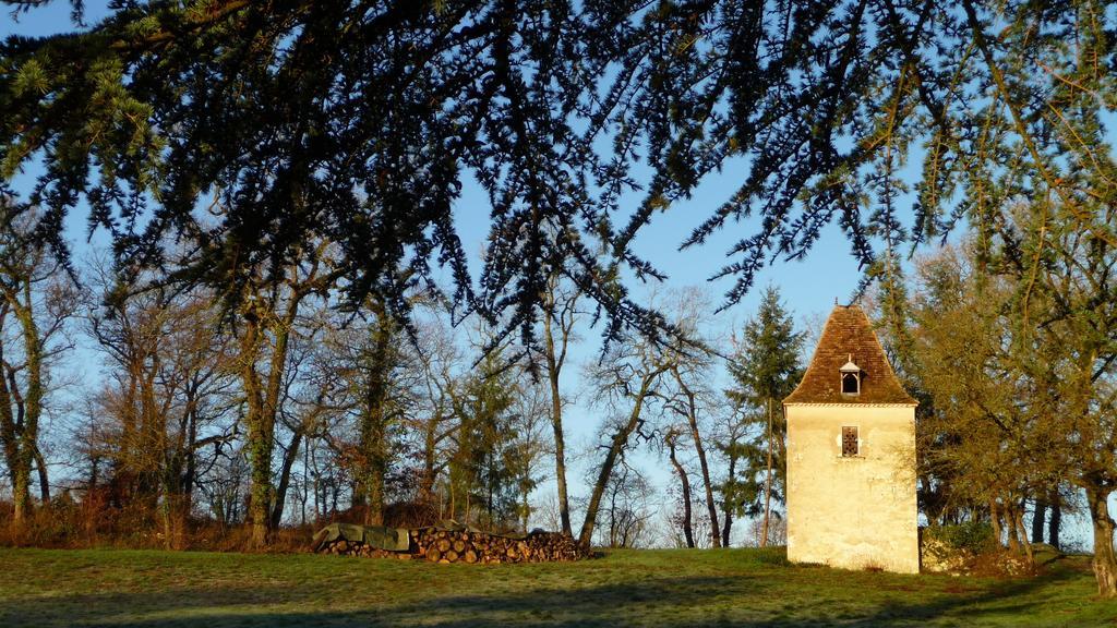 Domaine De Lamassas Bed and Breakfast Hautefage-la-Tour Buitenkant foto